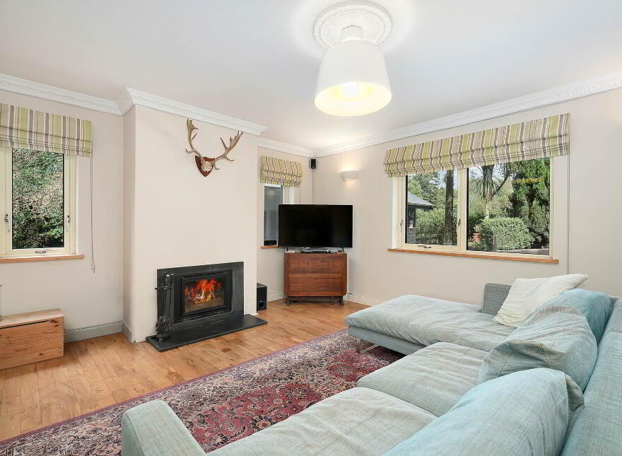 St Jude`s, Curragh Wood, Kilanerin, Gorey, Y25PY62