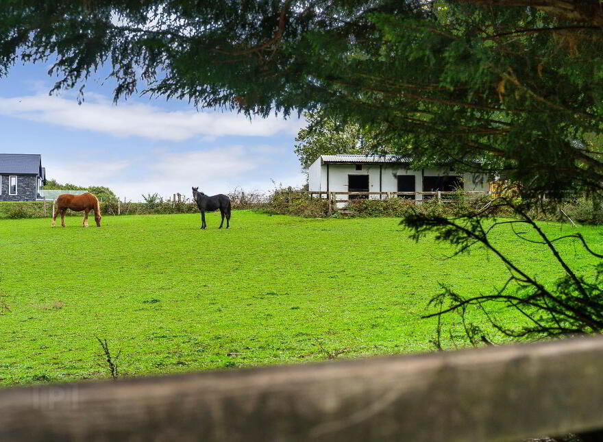 St Jude`s, Curragh Wood, Kilanerin, Gorey, Y25PY62