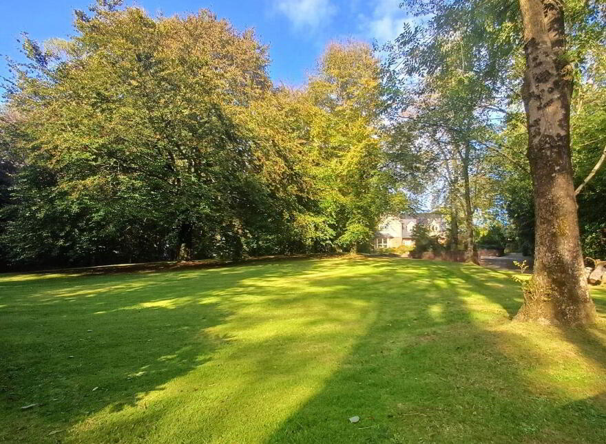 St Jude`s, Curragh Wood, Kilanerin, Gorey, Y25PY62