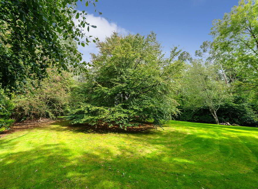St Jude`s, Curragh Wood, Kilanerin, Gorey, Y25PY62
