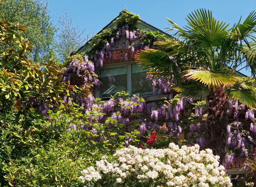 Luxury Lodge Wicklow, Wicklow Town