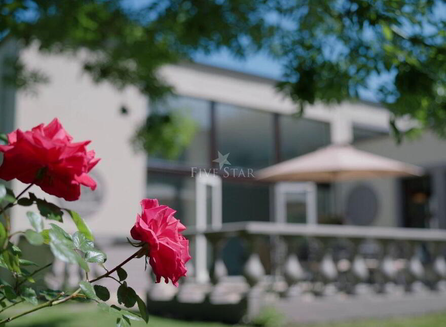 Luxury Coastal Residence & Gardens, Seafield, 2 Shankill, Shankill