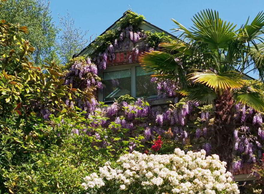 Luxury Lodge, Tinakilly, Wicklow Town, A67F860