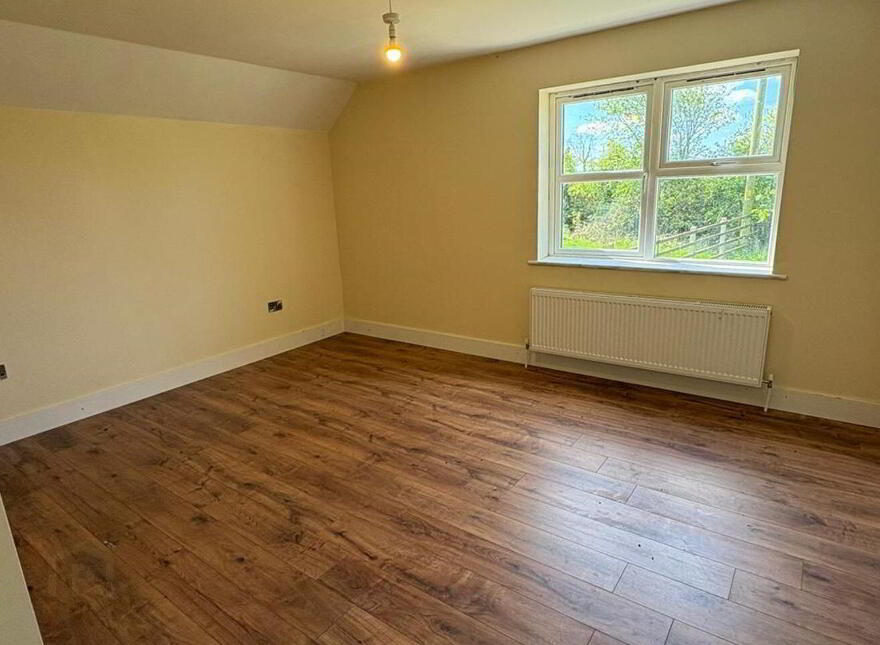 Cashlan East, Carrickmacross, Carrickmacross, A81HX46