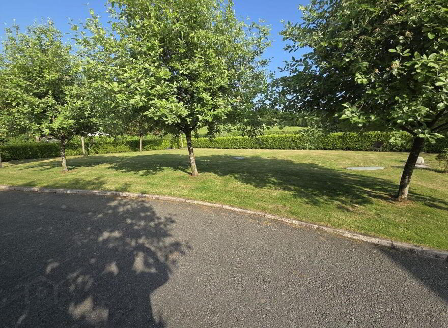 Cavanageeragh, Carrickmacross, A81T046