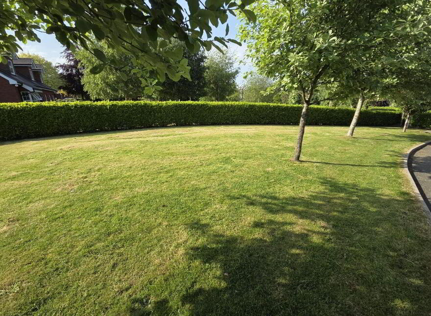 Cavanageeragh, Carrickmacross, A81T046