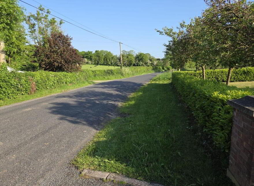 Cavanageeragh, Carrickmacross, A81T046