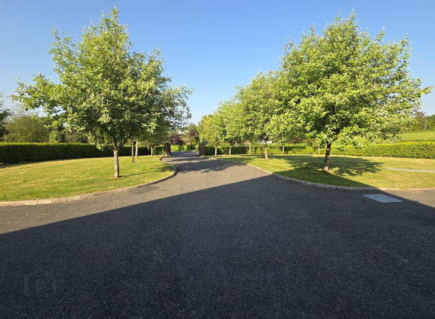 Cavanageeragh, Carrickmacross, A81T046