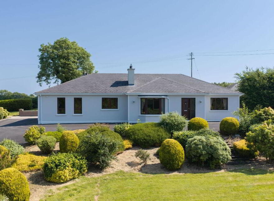 Drumhillagh, Ballybay, A75T299 photo