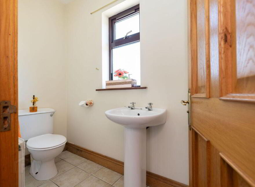 Drumhillagh, Ballybay, A75T299