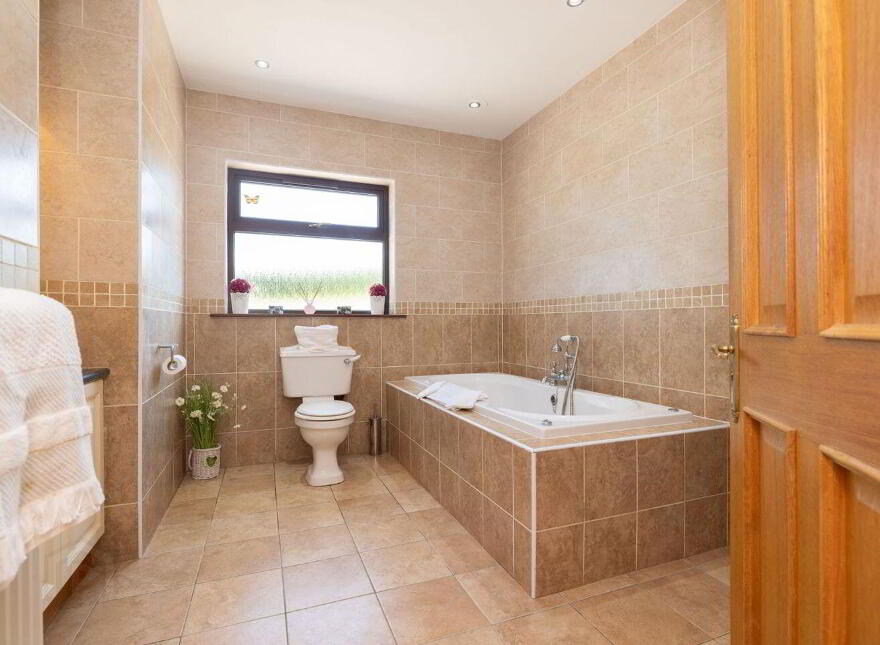 Drumhillagh, Ballybay, A75T299