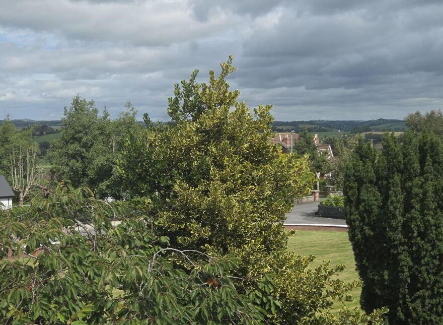 Lisanisk, Carrickmacross, A81HE28