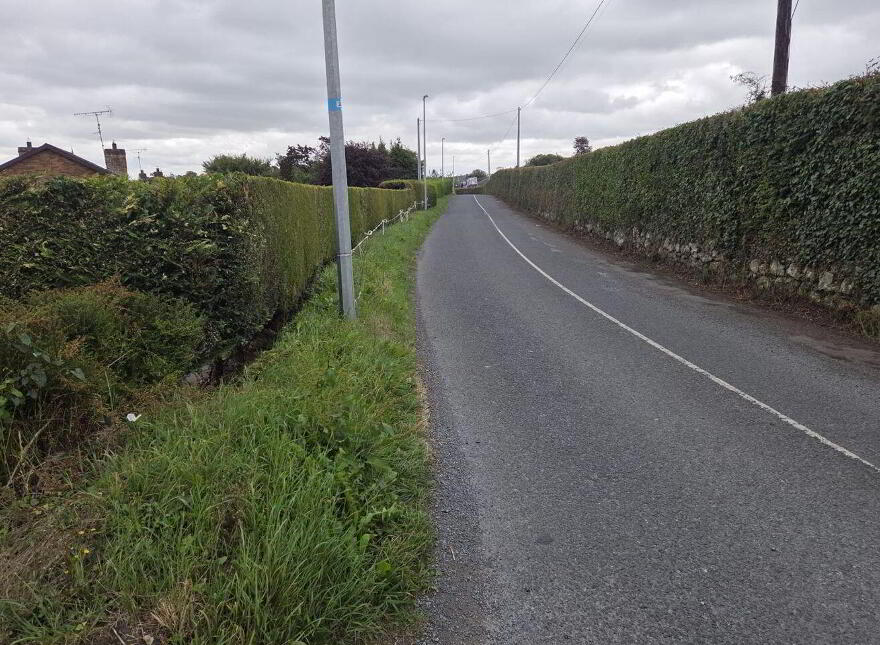 Lurgans, Carrickmacross, A81WD53
