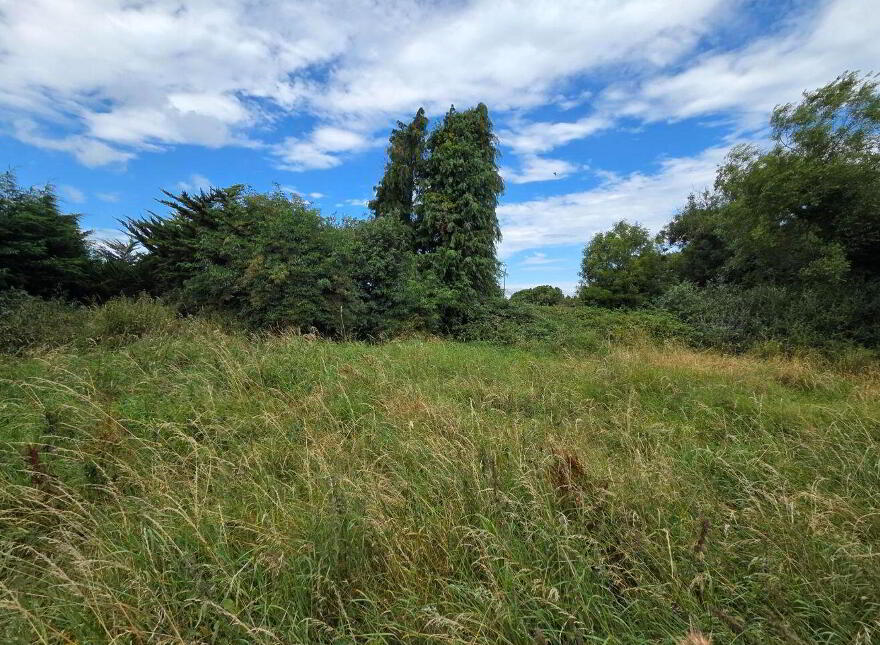 Piercetown, Dunboyne, A86P861