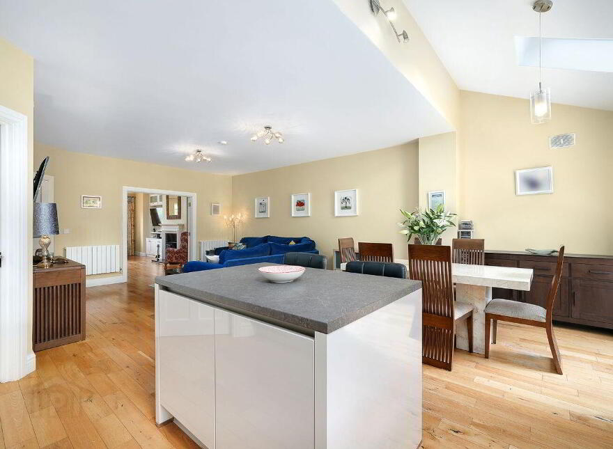 4 Seachnall Abbey, Dunshaughlin, A85TV58