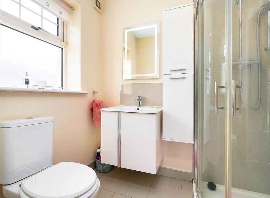 4 Seachnall Abbey, Dunshaughlin, A85TV58