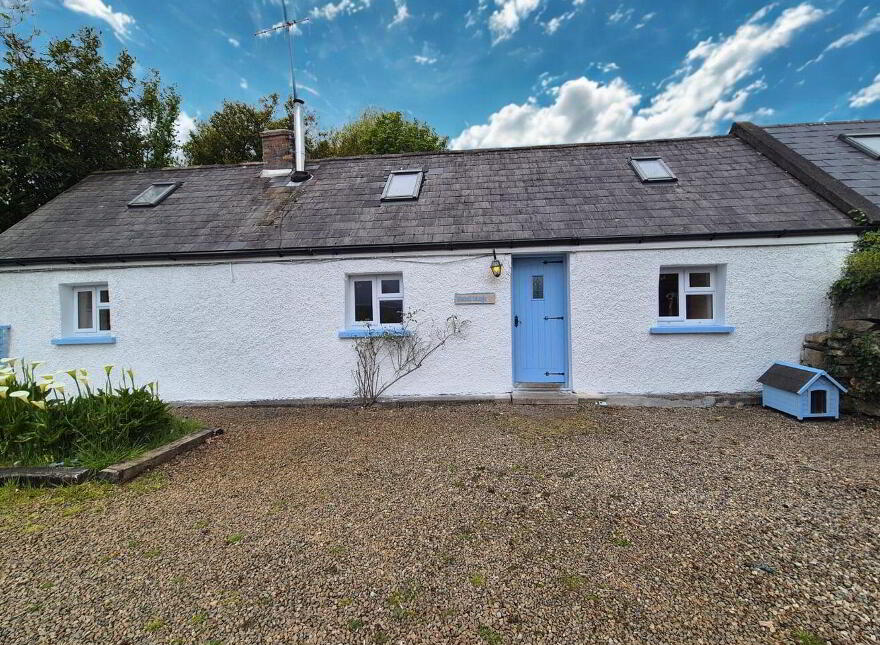 Bluebell, Ballyshonogue, Bridgeland, Bridgeland, Y14C982