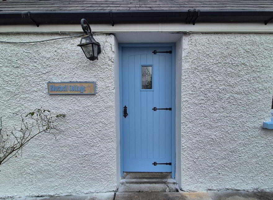 Bluebell, Ballyshonogue, Bridgeland, Bridgeland, Y14C982