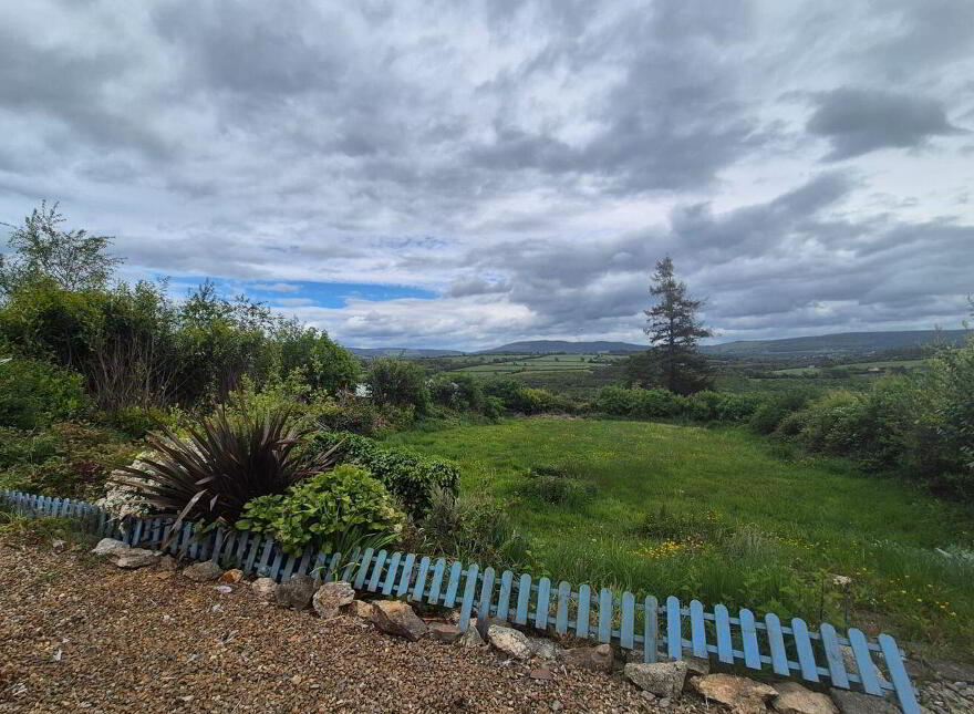 Bluebell, Ballyshonogue, Bridgeland, Bridgeland, Y14C982