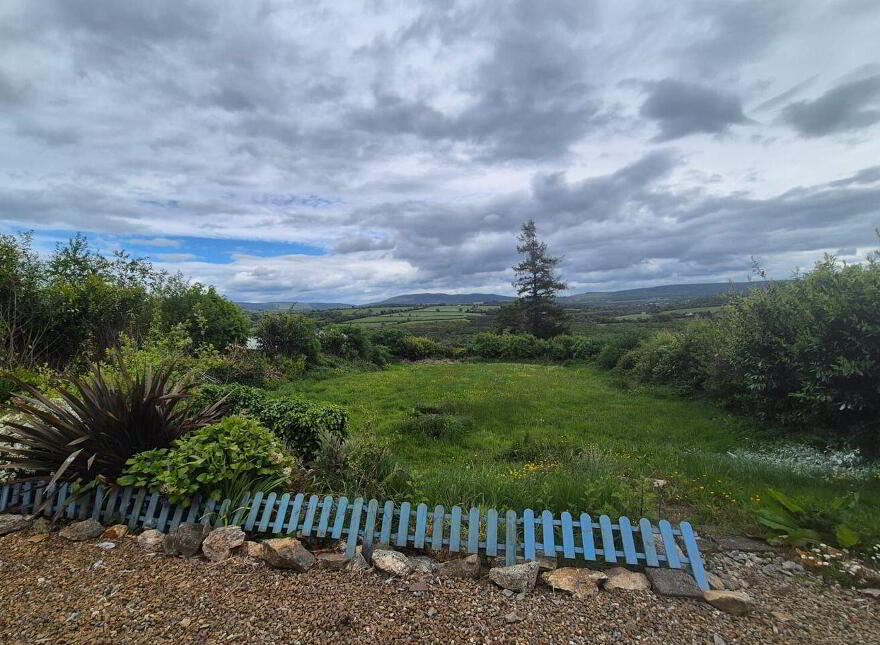 Bluebell, Ballyshonogue, Bridgeland, Bridgeland, Y14C982