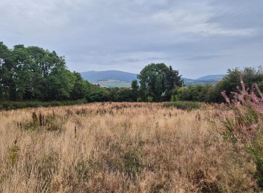 Kilballyowen, Aughrim, Y14R680