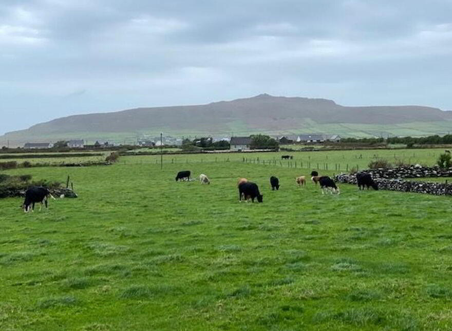 Kilcooly, Ballydavid, V92KN28