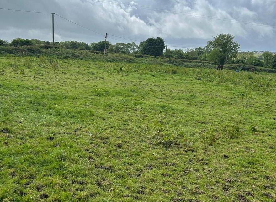Carriganassa, Killeagh