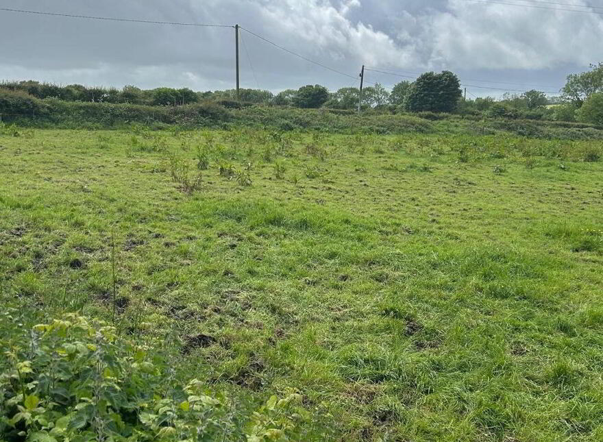 Carriganassa, Killeagh photo