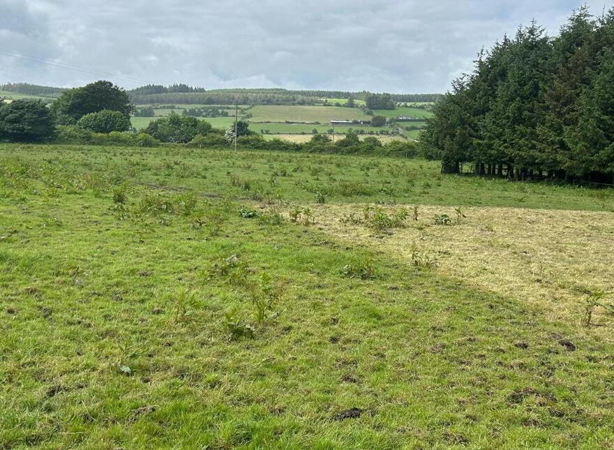 Carriganassa, Killeagh