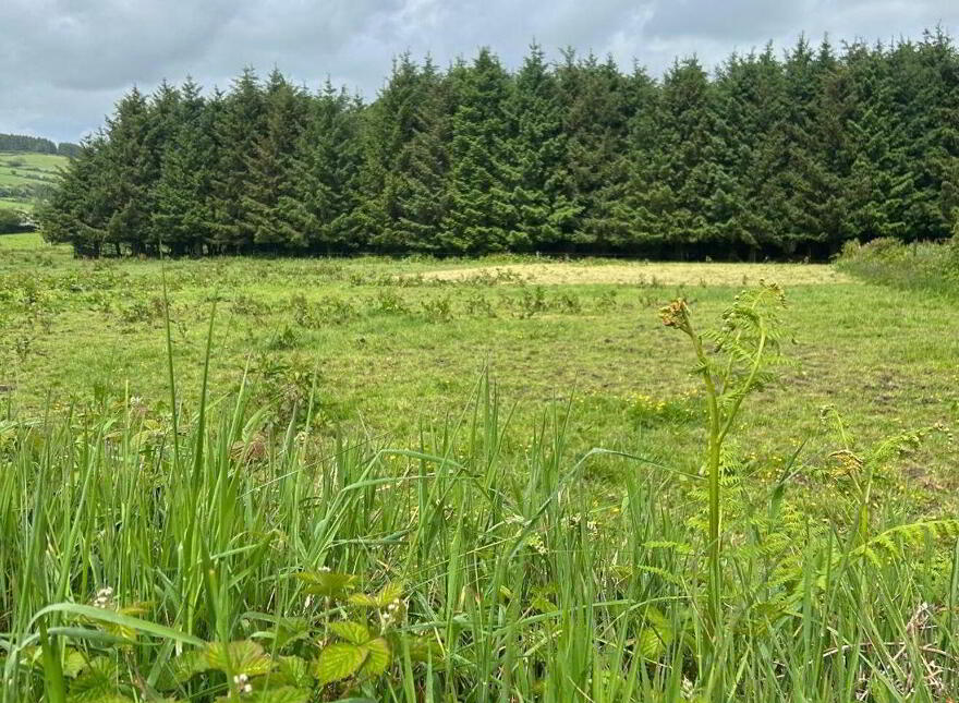 Carriganassa, Killeagh