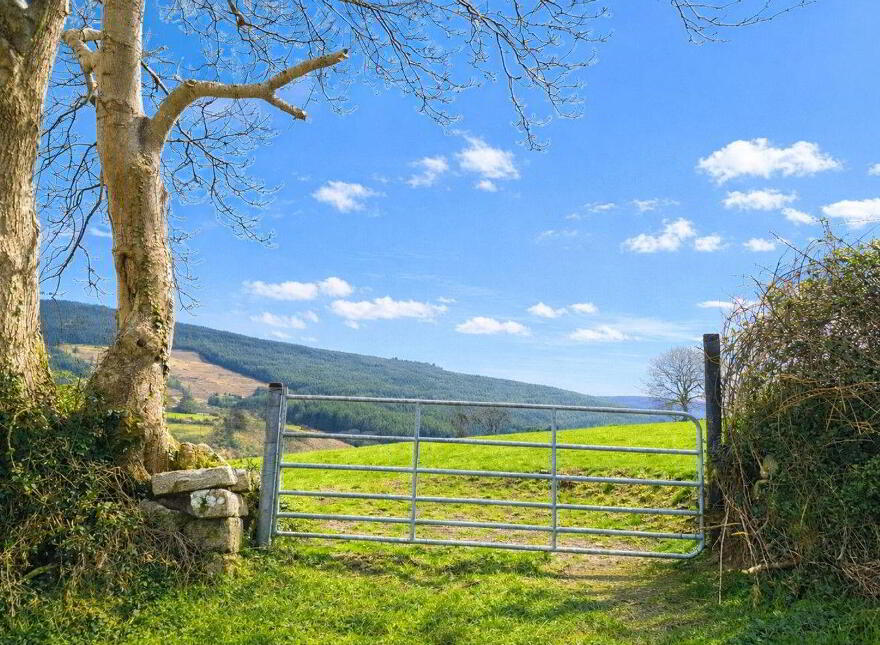 Stone Ruins On, C.4.1 Acres, Barrack Road, Glencullen