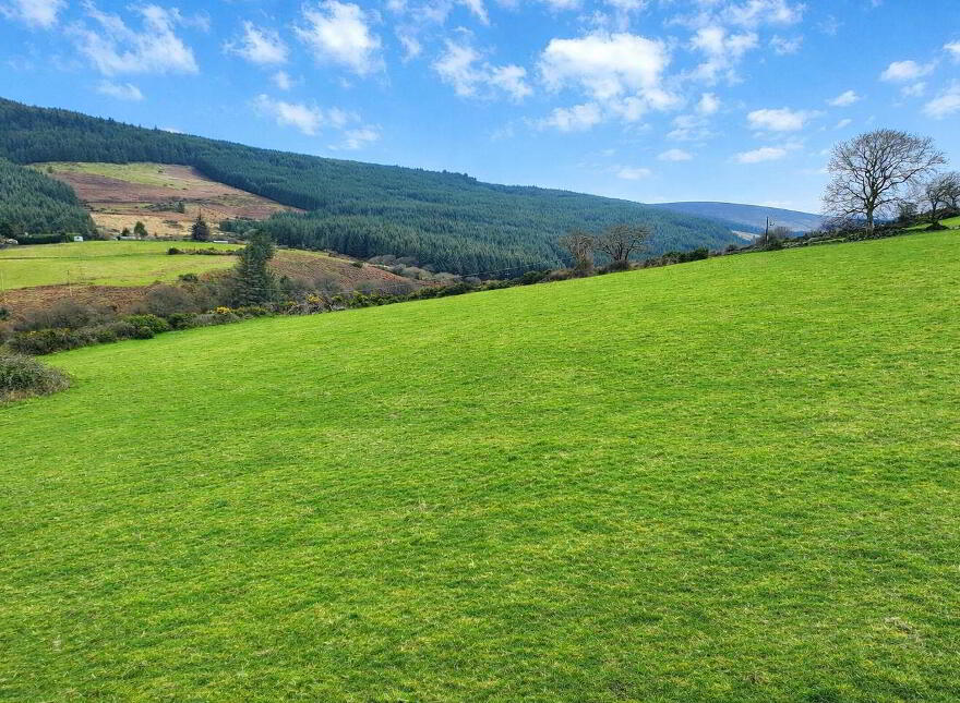 Stone Ruins On, C.4.1 Acres, Barrack Road, Glencullen