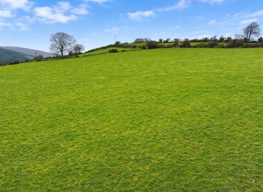 Stone Ruins On, C.4.1 Acres, Barrack Road, Glencullen