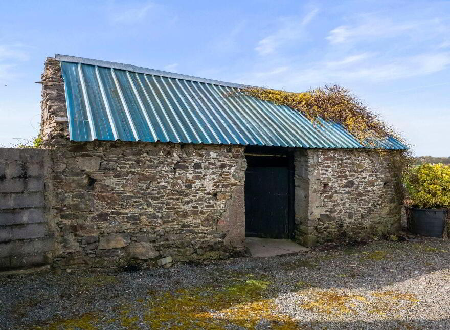 Coole, Campile, Ramsgrange, Y34R235