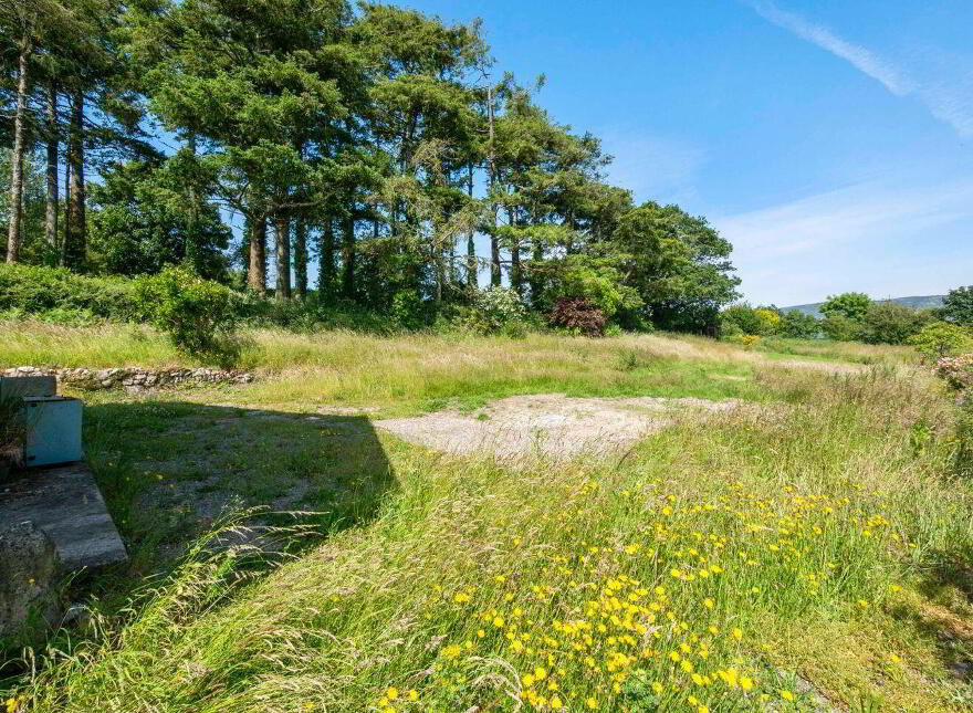 Ard Choille, Templenaboe, St. Mullins, R95R9Y9