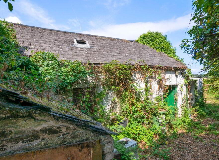 22 Maiden Lane, New Ross, Y34Y228