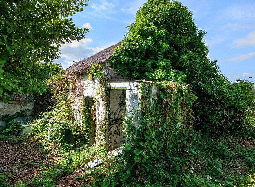 22 Maiden Lane, New Ross, Y34Y228