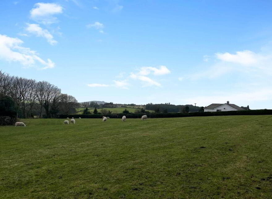 Ballymaghroe (, C. 0.75 Acre Site), Askanagap photo