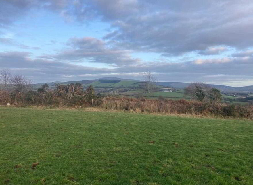 Mount Pleasant, C.1 Acre, Tinahely