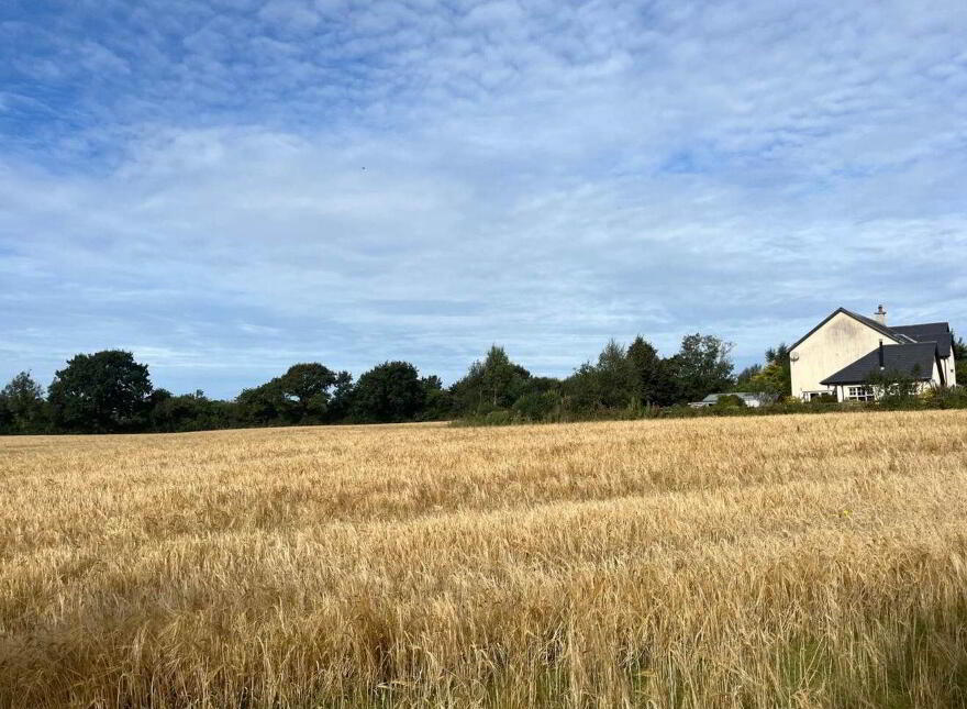 Ballyeden (, C. 0.75 Acre Site), Camolin