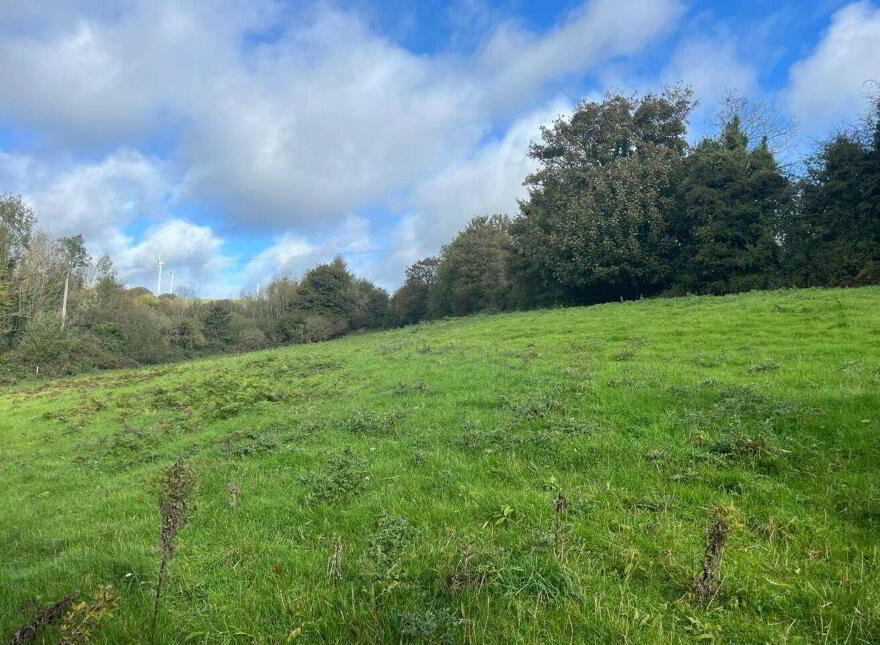 Ballynultagh (, 1.8 Acre Site), Shillelagh