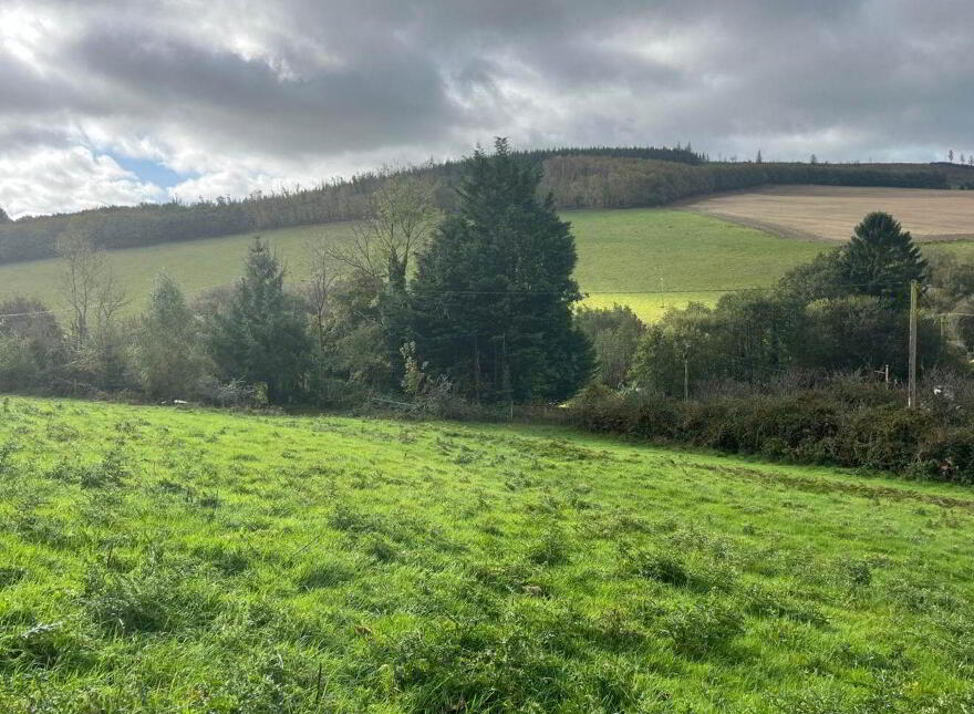 Ballynultagh (, 1.8 Acre Site), Shillelagh
