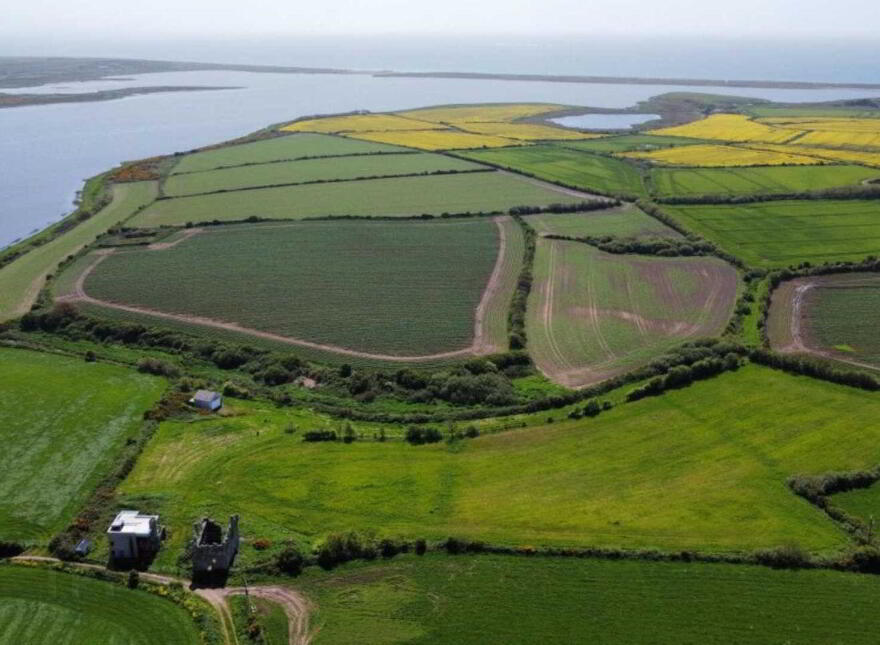 Rathshillane, Tacumshane, Wexford Town