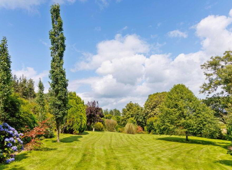 Temair House, Tara Hill, Ballymoney, Y25V447