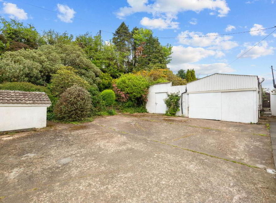 Windy Ridge, Kilmurray, Tara Hill, Y25D625