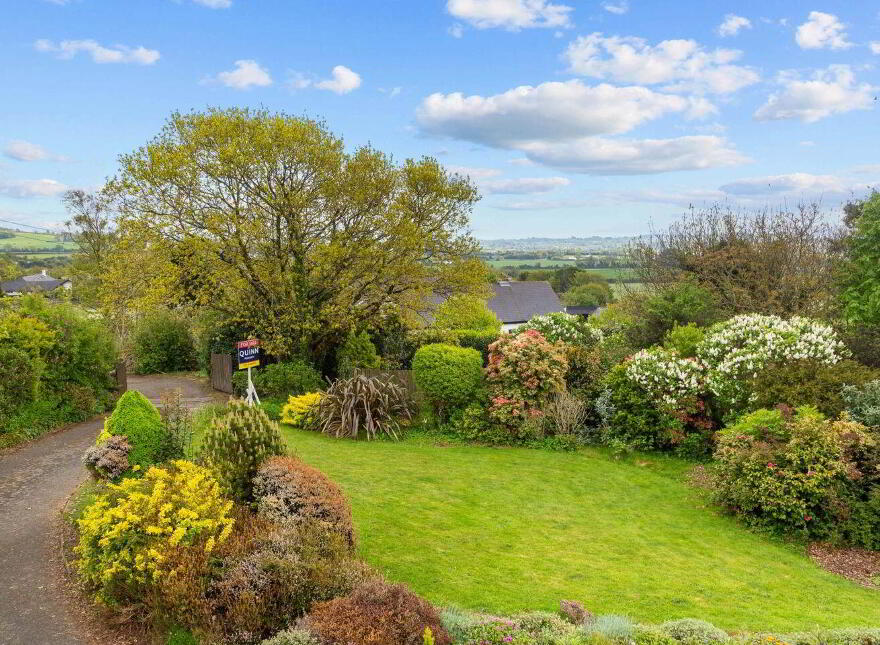 Windy Ridge, Kilmurray, Tara Hill, Y25D625