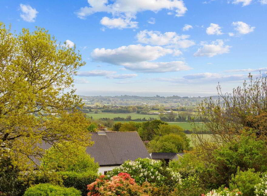 Windy Ridge, Kilmurray, Tara Hill, Y25D625