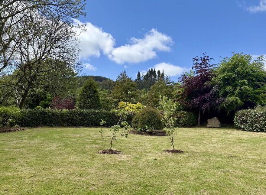 The Old Farmhouse, Shrule, Craanford, Y25D894