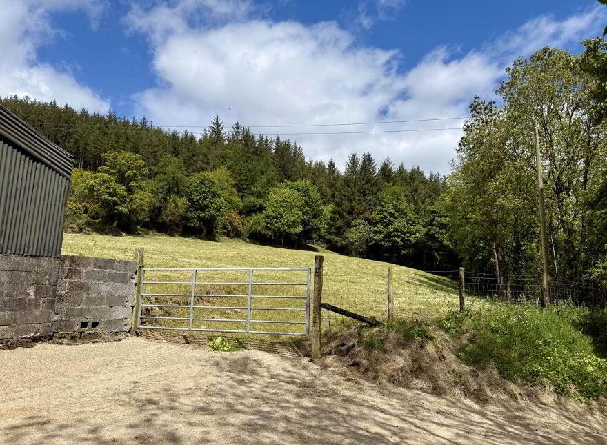 The Old Farmhouse, Shrule, Craanford, Y25D894