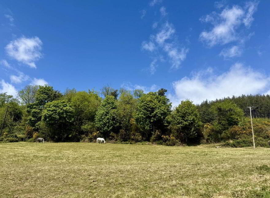 The Old Farmhouse, Shrule, Craanford, Y25D894